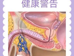 男性自慰与免费网站风险：健康和生活平衡的真相
