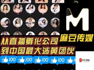 99AV国产精品欲🍑🍒麻豆：揭秘网络文化现象背后的深层魅力与现实写照