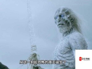 公开调教背后的权力游戏：揭开当众玩弄的社会真相