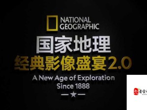 中野ありさAV在线播放背后的多元解读：影像的力量与社会变迁