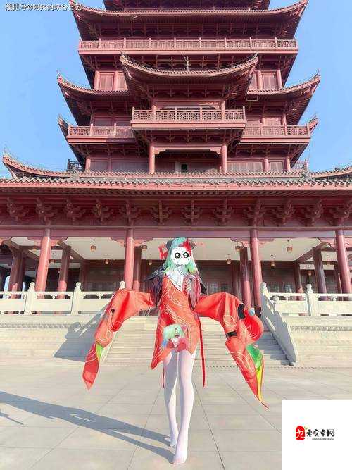 女寝十几只白丝脚榨精背后:她们如何用团结创造奇迹