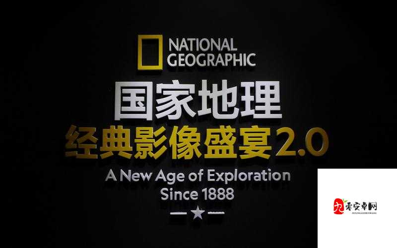 中野ありさAV在线播放背后的多元解读:影像的力量与社会变迁