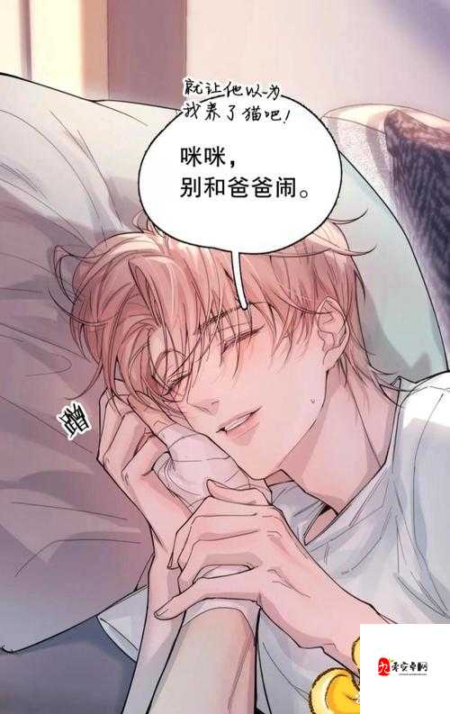 猛1被C哭成乖乖受H背后:一场爱与妥协的情感博弈