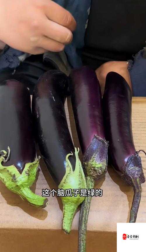 XXXX38🍆🍆HD:从热词现象看当代年轻人的情感表达