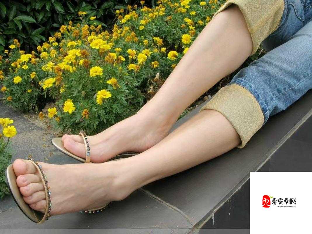 调教~玉足稚嫩仙子小脚:从传统文化到现代审美的深度解析